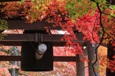 常寂光寺
